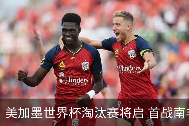 美加墨世界杯淘汰赛将启 首战南非对阵加拿大